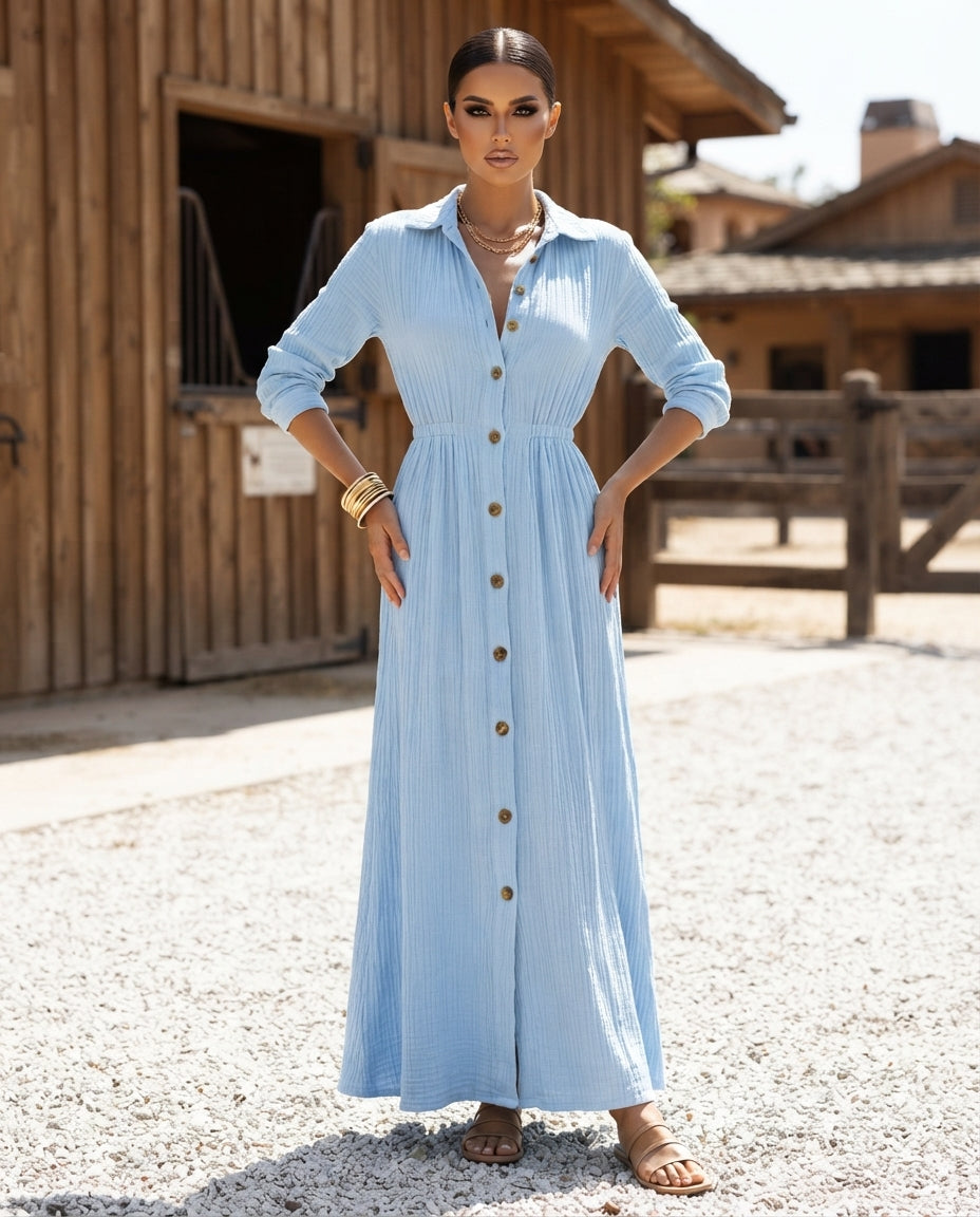 Textured Button-Down Maxi Dress (Plus Size)