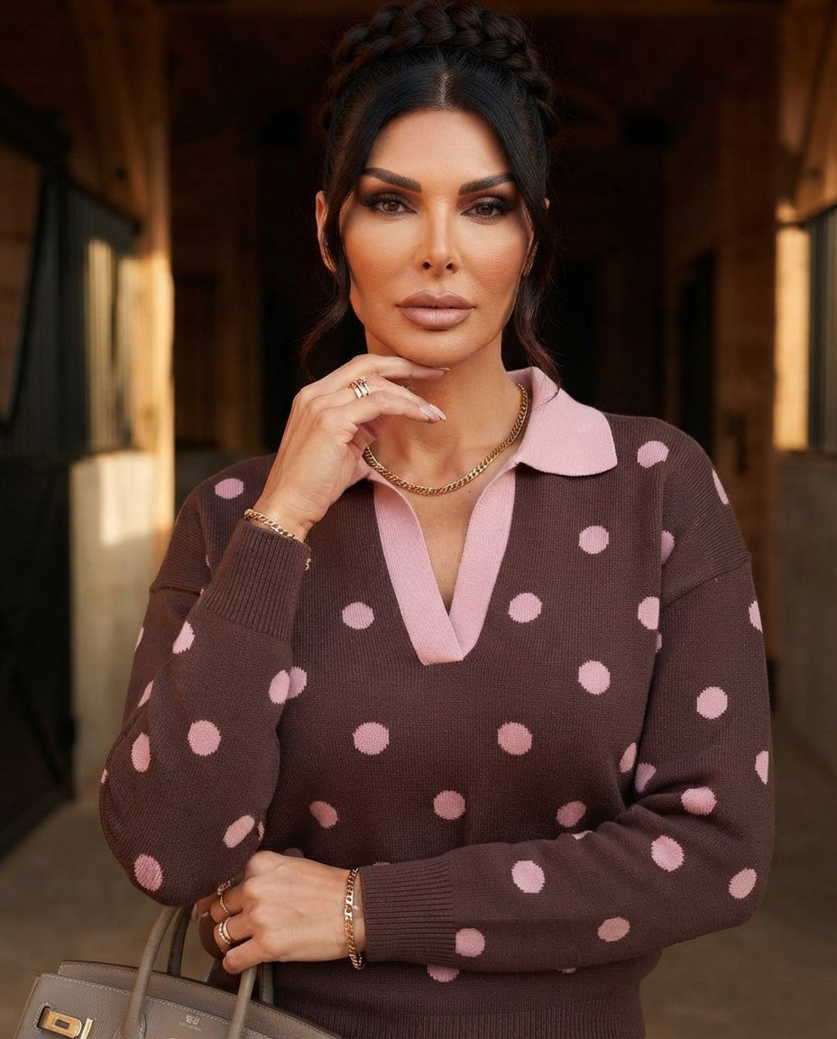 Polka Dot Pattern Color Block Collared Loose Pullover Sweater